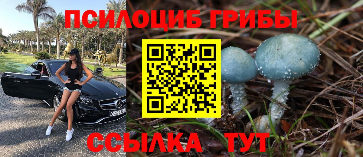 Псилоцибиновые грибы мицелий Ялуторовск
