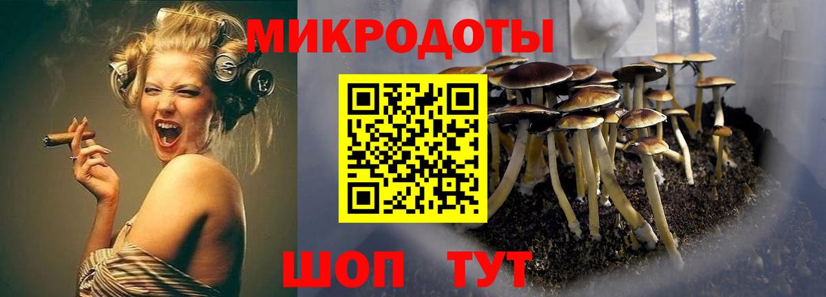 Галлюциногенные грибы прущие грибы  наркошоп  Псилоцибиновые грибы GOLDEN TEACHER  Ялуторовск  Вход с VPN 